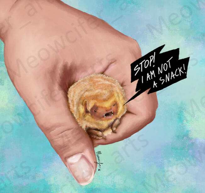 Flat/simplified Flat/simplified